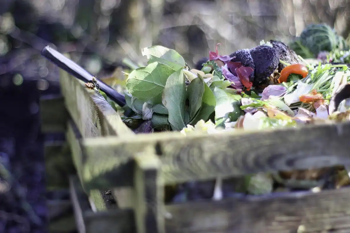 Compost de grădină cu resturi vegetale, în pregătirea unui sol bogat